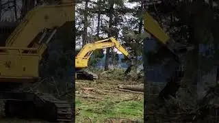 Fantastic Machine #shorts #shortvideo #youtubeshorts #machine #amazing #viral #vlog #fyp #ytshorts