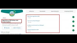 Agentforce SDR Setup and Customization | Salesforce Trailhead