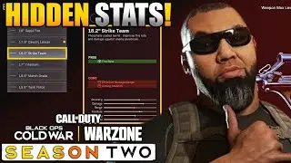 Hidden Stats Turn Cold War AUG into a Buffed M16 in Warzone | CoD BR Class Setups/Loadouts