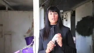 Why Use Blue Light in Laser Therapy? | Lisa Cawte Baker, Equine Therapist