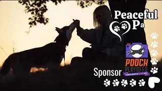Peaceful Paws Pet Crematory-Pooch Playoffs 2025