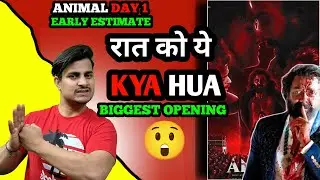 Animal Movie Day 1 Early Estimate | Animal Day 1 Box Office Collection #animalcollection