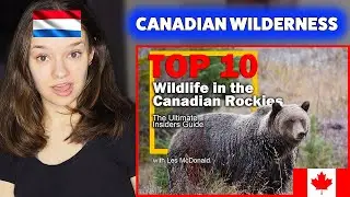 THIS is Wildlife in the Canadian Rockies?! 🇨🇦 (European Reacts)