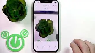 If i Delete Photos from Google Photos will Delete from my iPhone?