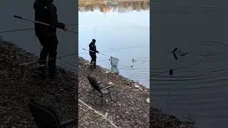 Forelle kracht auf Spoon drauf #fishing #angeln #fish