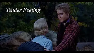 ELVIS PRESLEY - Tender Feeling (New Edit) 4K