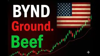 📈 Beyond Meat Stock (BYND): Why Shares Plummeted 9% TODAY & The Hard Truth on a Turnaround