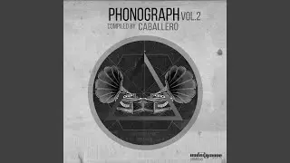 Phonograph, Vol. 2 Continuous Mix (Continuous Mix)