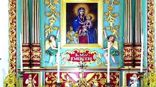 05 FEBRUARY 2026 - 05.30PM  ||  LIVE HOLY MASS  ||  VALLARPADAM SHRINE BASILICA