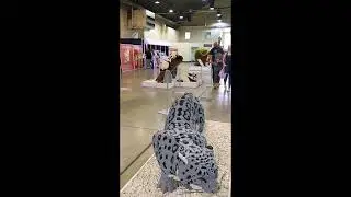2023 Los Angeles County Fair: Animal Super Powers made with Lego Bricks #shorts #springintofair