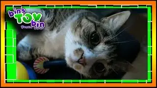 Short Vlog - Help Bin Pick her Nails!! 8.1.2016 | Bins Toy Bin Daily Vlogs