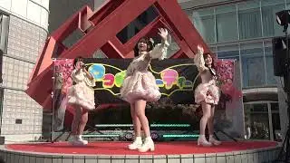 SPATIO ERPHY   2025/11/23  Aliceロコドルパーティー vol.29   アリスガーデン(広島PARCO前広場) 