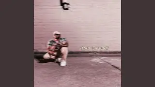 Feed