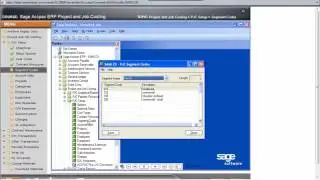 Accpac 146    Feature   v54   PJC   Setup   Segment Codes