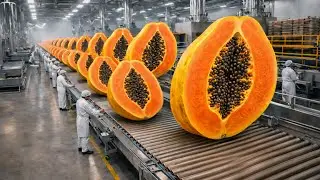 Papaya to Juice Process 🍍 | Inside a Modern Juice Factory | Step-by-Step Production
