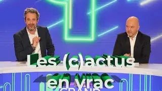 Les (c)actus en vrac de Jérôme de Warzée | Le Grand Cactus 116