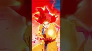 Goku (All Forms) vs Gogeta (All Forms)