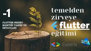 Temelden Zirveye Flutter:#0 Giriş, Nedir, Mantık ve Düşüncesi