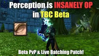 Perception is INSANELY OP On TBC Beta (Bugs & Update)