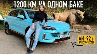 1200 КМ на ОДНОМ баке 92-го &mdash; новый китайский ГИБРИД