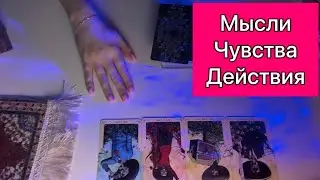4 короля таро: мысли чувства действия💜