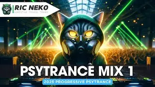 🔥 Progressive Psytrance Mix | 4 Original Tracks by Ric Neko | Hard Trance Vibes 2025