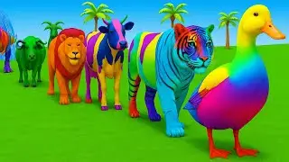 Long Slide Game With Cow Elephant Gorilla Hippopotamus Tiger - 3d Animal Game - Funny 3d Animals