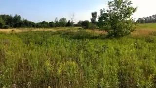 9760 Ashburn Rd, Whitby, Ontario Presented by Ashley Stevens.