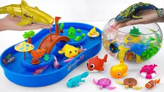 [Toy asmr] Zuru Robo Shark Gold & Zuru Robo Fish & Harp's Aquarium ASMR Satisfying with Unboxing