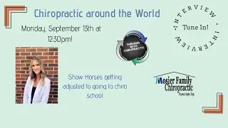 Show Horses getting adjusted to going to chiro school