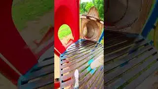 bella ciao got parkour running pov 🥳#parkourfreerun #playground #parkrunner #shortslife