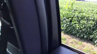 Storm Whistle
