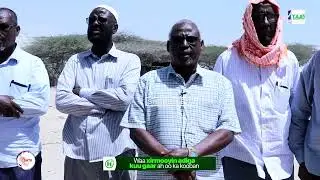 Gaadiidleyda Xamuulka qaada ee isticmaala Wadada Muqdisho iyo Afgooye oo cabasho ka ah..............