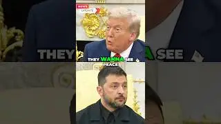 Trump on War: Talks with European Leaders & Peace Efforts, #europe ,#trump ,#zelensky