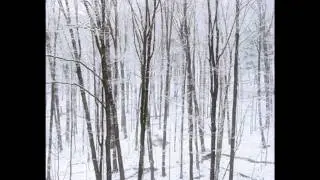 Dimitri TCHESNOKOV 