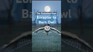 🦉 The Secret Life of Ghost Owls Revealed!