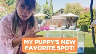 BingoPaw Playpen Review &ndash; Is It the Best for Your Pet?