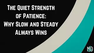 The Quiet Strength of Patience: Why Slow and Steady Always Wins