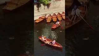 iPhone 15 Pro - Can it Shoot Cinematic Footage.  #shorts