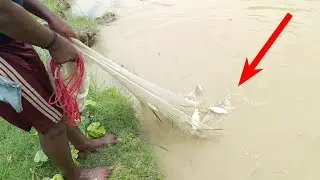 Best Popular Cast Net Fishing In Village Pond 🐠Net Fishing ! Cast Net Catching Fish ! Fishing Video