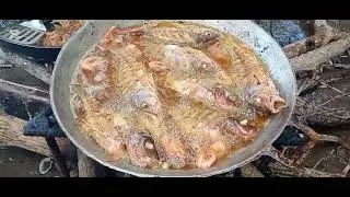 Amigos acompañenme a esta fritada en los MANGLARES #pescaviral #Pescaycosina #VideoYutub