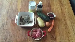 Receta Casera Natural  BARF para perros 