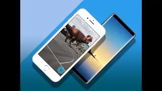 مقارنة مابين iPhone 8 Plus ضد Galaxy Note 8: من الأفضل؟