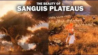 The Beauty of Sanguis Plateaus | Wuthering Waves 2.6