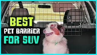 Top 5 Best Pet Barriers for SUV [Review] - Heavy Duty Pet Barrier/High Road Dog Barrier [2025]