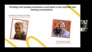 ZigZag dog training app