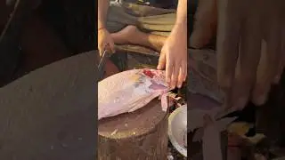 Giant Black Koral Fish Cutting Skills || Part 1 #shorts