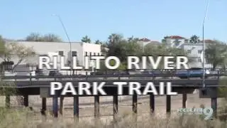 Dog-Friendly Hikes in Tucson