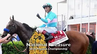 2024 Eclipse Awards & $3M Pegasus Championship in Florida