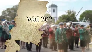 WAI262 claimants advancing protection of taonga including rongoā Māori | Te Ao Tapatahi